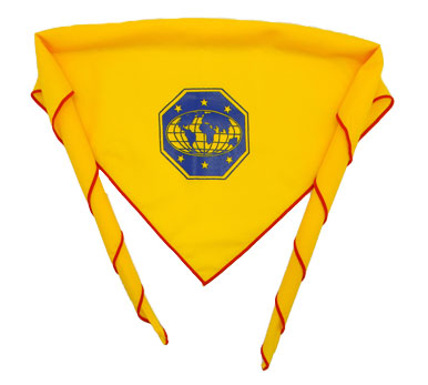 sda pathfinder guidon manual