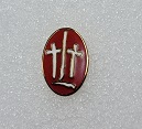 TLT LOGO PIN (not for uniform)