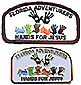 Florida ADV Hands for Jesus Pin or Patch